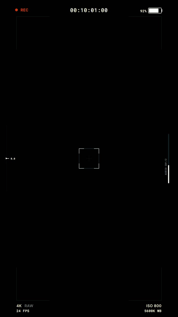 Digital Camera Recording Interface Overlay