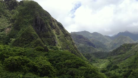 cinematic aerial shot flying into the jungle forest of maui