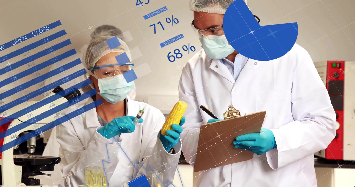 Researchers examining corn with pipette as blue bars shifting showing percentages for food-science