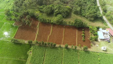 Aerial-drone-cinematic-shot-of-empty-freshly-plowed-farm-field-for-plantation