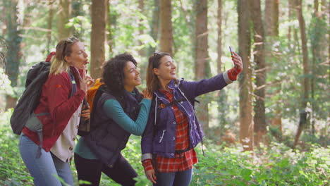 amigas posando para selfies en el teléfono móvil en una caminata de vacaciones a través de los bosques juntas