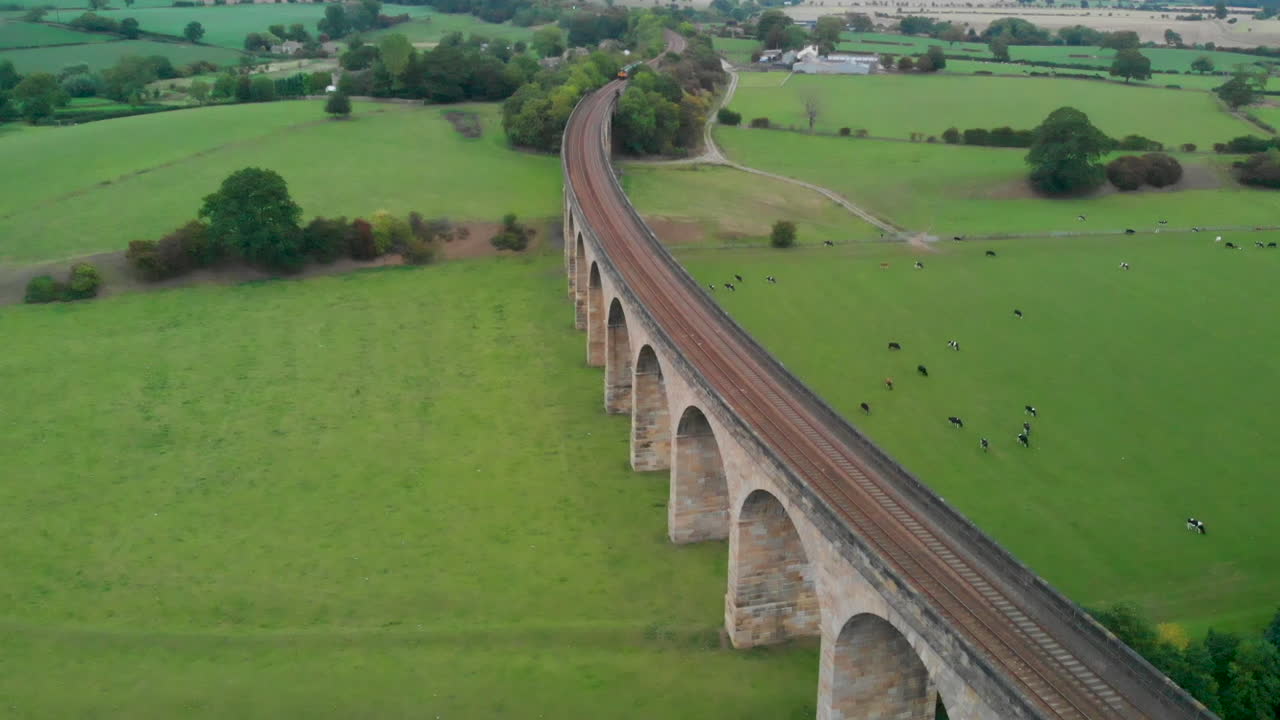주변에 영화 같은 풍경이 있는 고가교의 현대식 기차 위의 드론