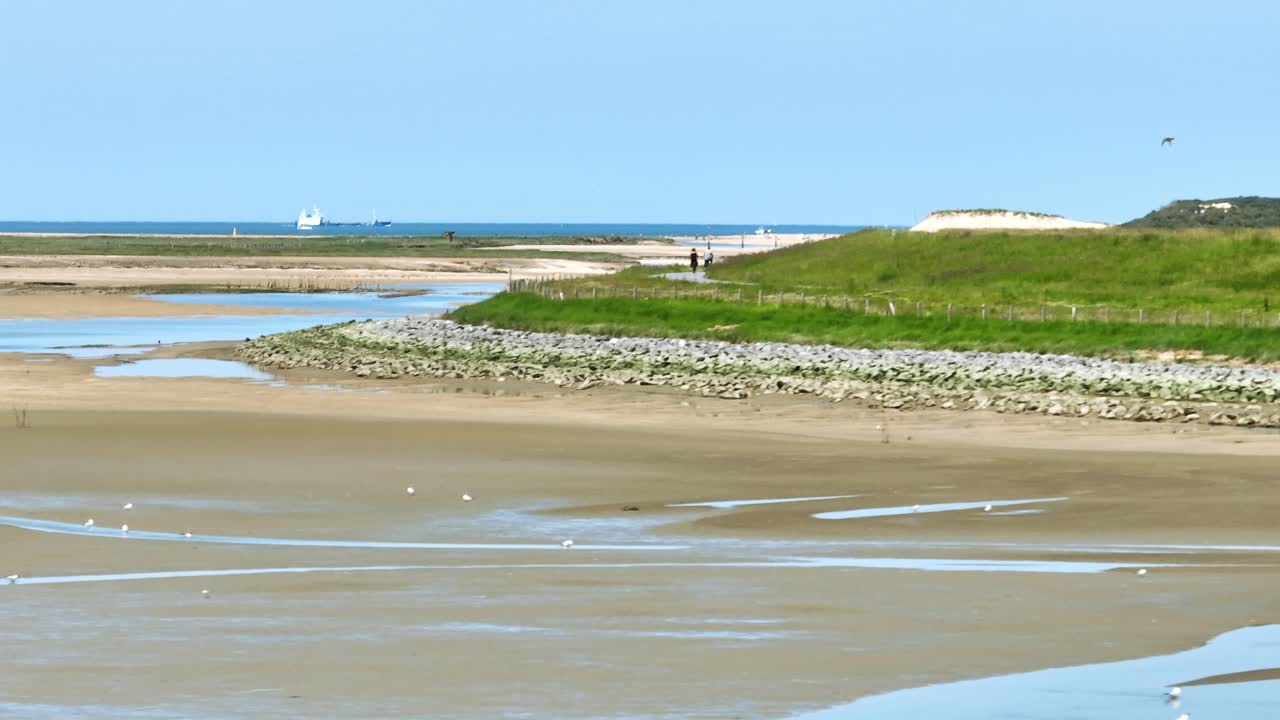 네덜란드의 het zwin 자연 보호 구역의 다채로운 해안 풍경