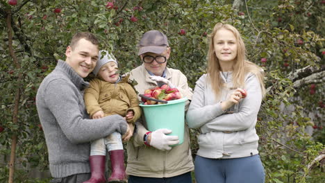 family out collecting apples in the orchard