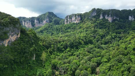 aerial view of a lush green forest surrounded by mountains under a cloudy sky, showcasing rich biodiversity.
