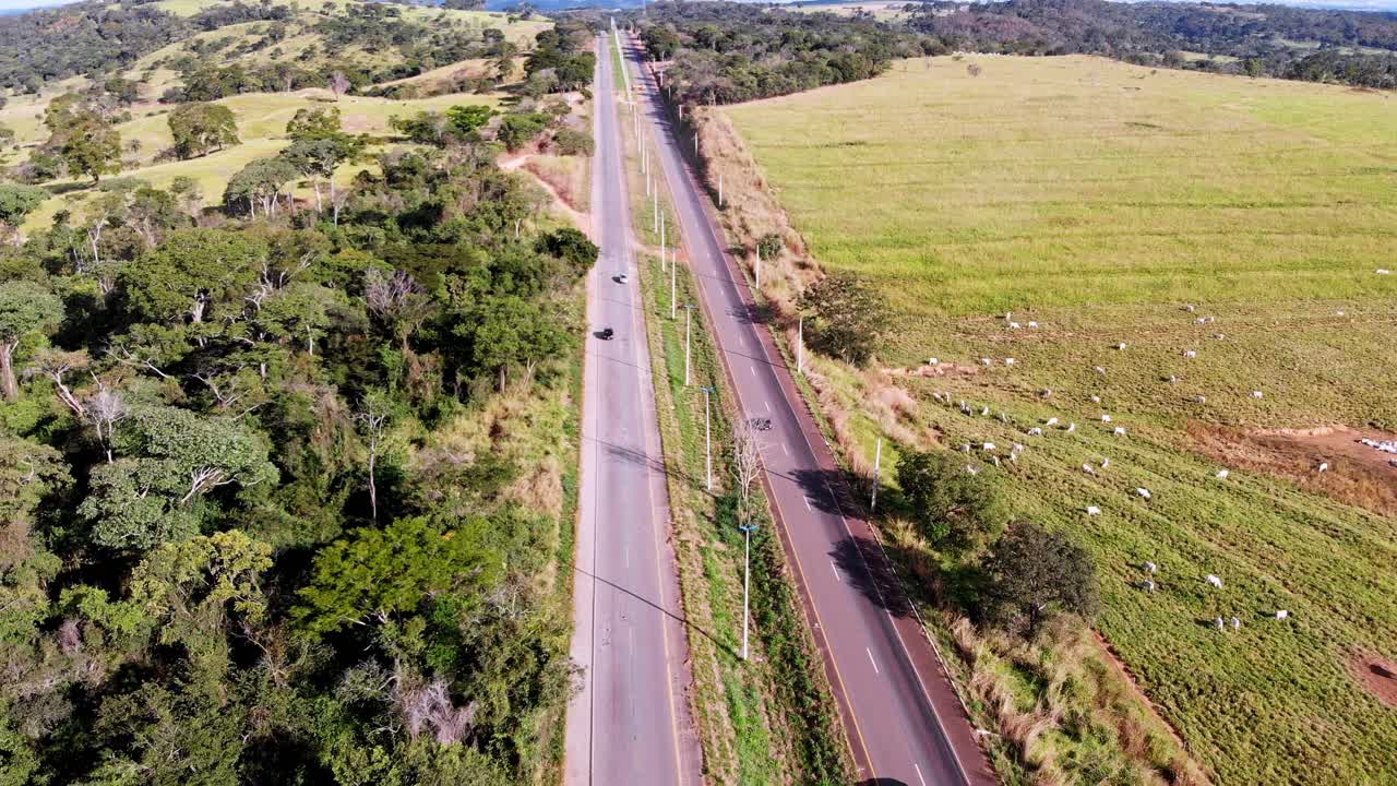 una carretera a través del campo con ovejas pastando en el campo - vista aérea descendente