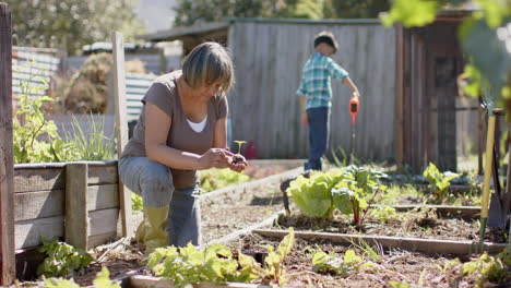 Ältere-Großmutter-Mit-Gemischter-Abstammung-Und-Enkel-Pflanzen-Und-Gießen-Pflanzen-Im-Sonnigen-Garten,-Zeitlupe