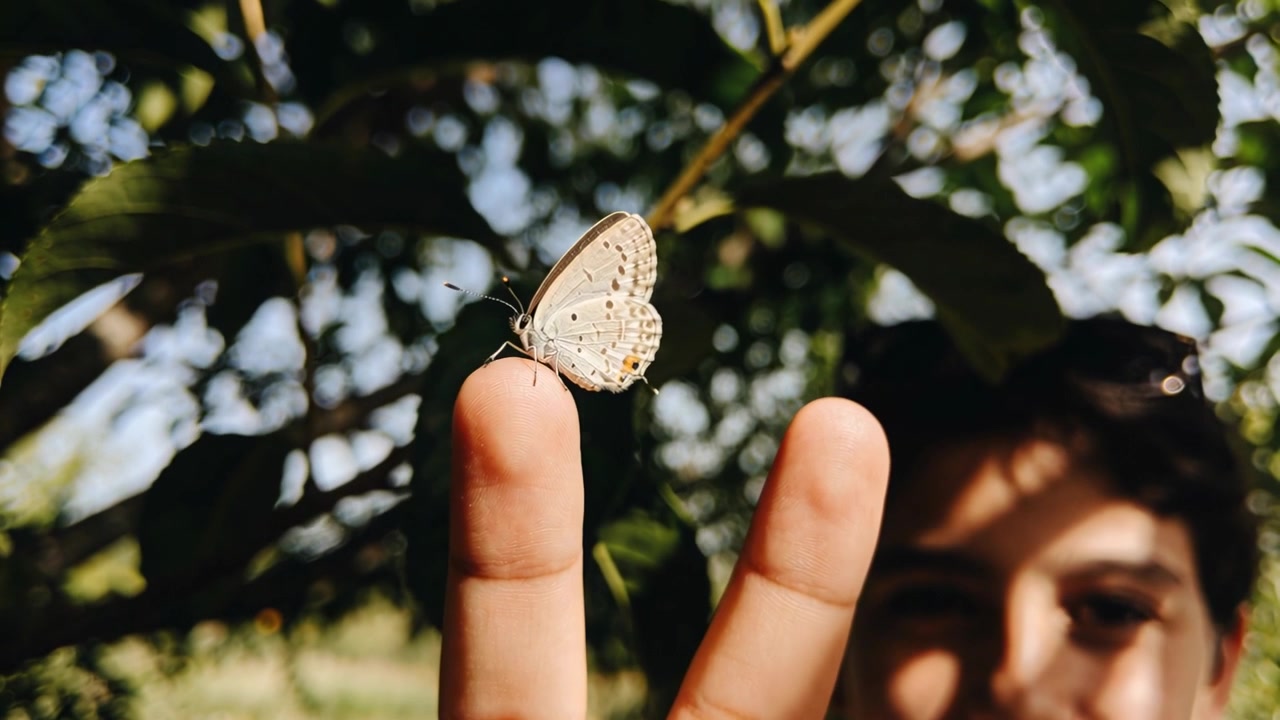 Un adolescente con gli occhiali da sole allunga le dita, osservando una farfalla chiara posata sul suo dito in un parco.