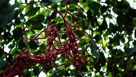 intricate red vines and lush green foliage