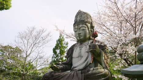 huge buddha statue in tsubosaka-dera temple with spring sakura flowers in takatori, japan