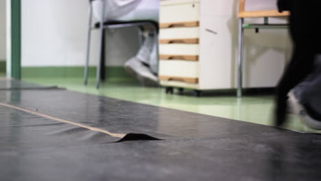 el perro en fisioterapia camina en una alfombra de análisis para el análisis de la marcha