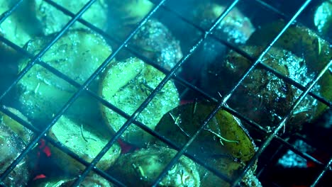 Closeup-of-browned-herbed-new-potatoes-in-a-wire-basket-on-a-hot-grill-with-red-embers-glowing-beneath