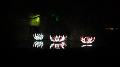 giant led water liliy plants in a lake