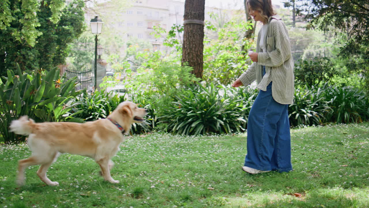 Cheerful woman playing dog in vivid park. Playful girl training golden retriever