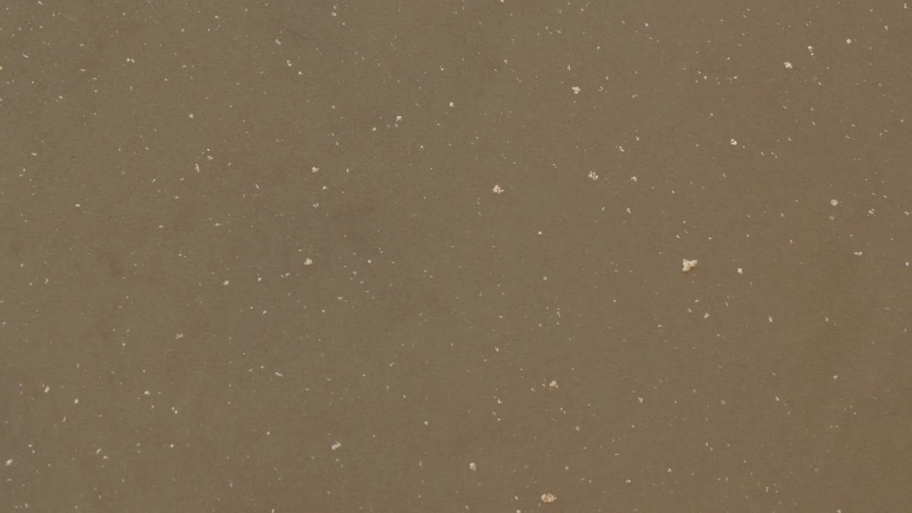 하수 처리 시설의 폐수.