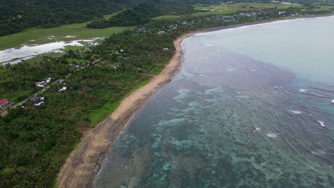 Tropical Palm Trees On The Sandy Shores Of Catanduanes In The Philippines. Aerial Drone Shot