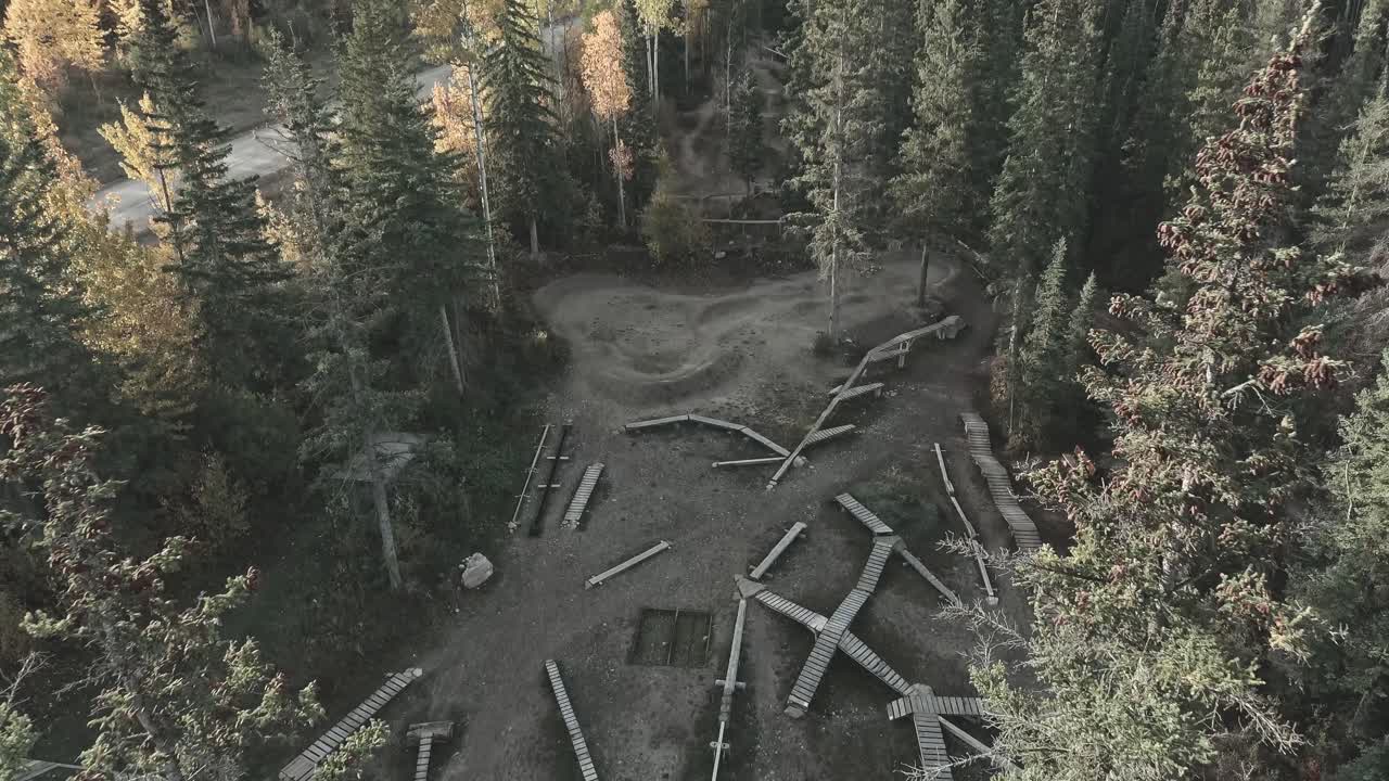 Aerial smooth shot zooming in into the park full of trees