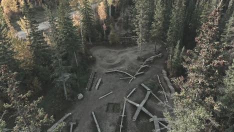 aerial smooth shot zooming in into the park full of trees