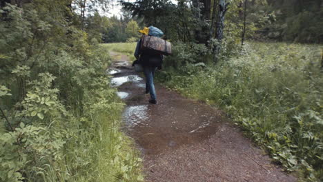 un excursionista en un bosque lluvioso