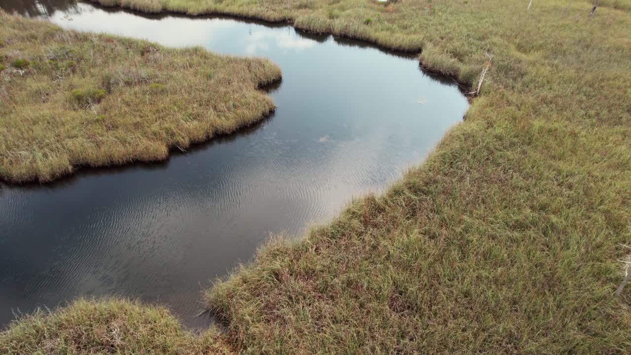 Aerial flight over thick dense grass marshlands and an open creek running through it
