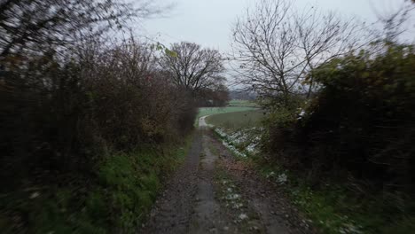 dirt road with tractor tracks