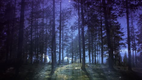 landscape during nighttime background