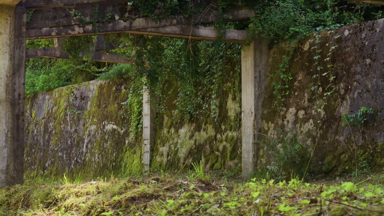 Decaying Concrete Structure Covered in Moss and Ivy