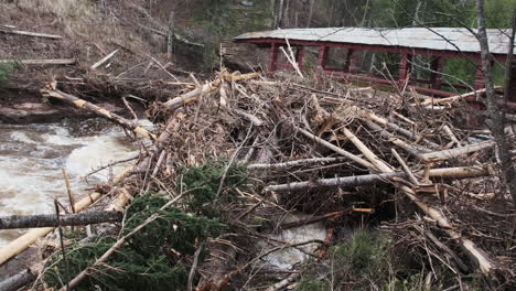 trees and debris piled against historic bridge from heavy spring flooding