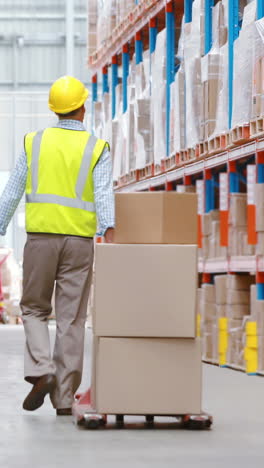 warehouse worker pulling pallet truck with cardboard boxes