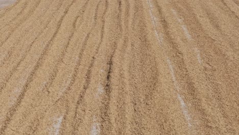 Drone-View-of-Rice-Drying-on-a-Road-in-the-Philippines