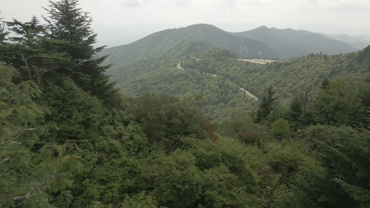 안개 가 가득 한 산 들 의 숲 은 풍경적 인 정상 고속도로 전망대 를 바라보게 한다
