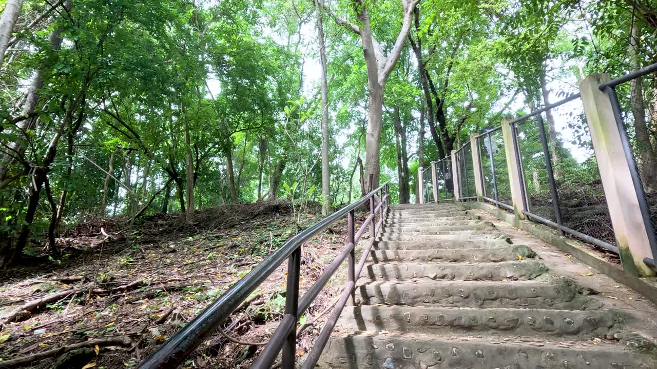 울창 한 초록 숲 을 가로질러 올라가는 콘크리트 계단