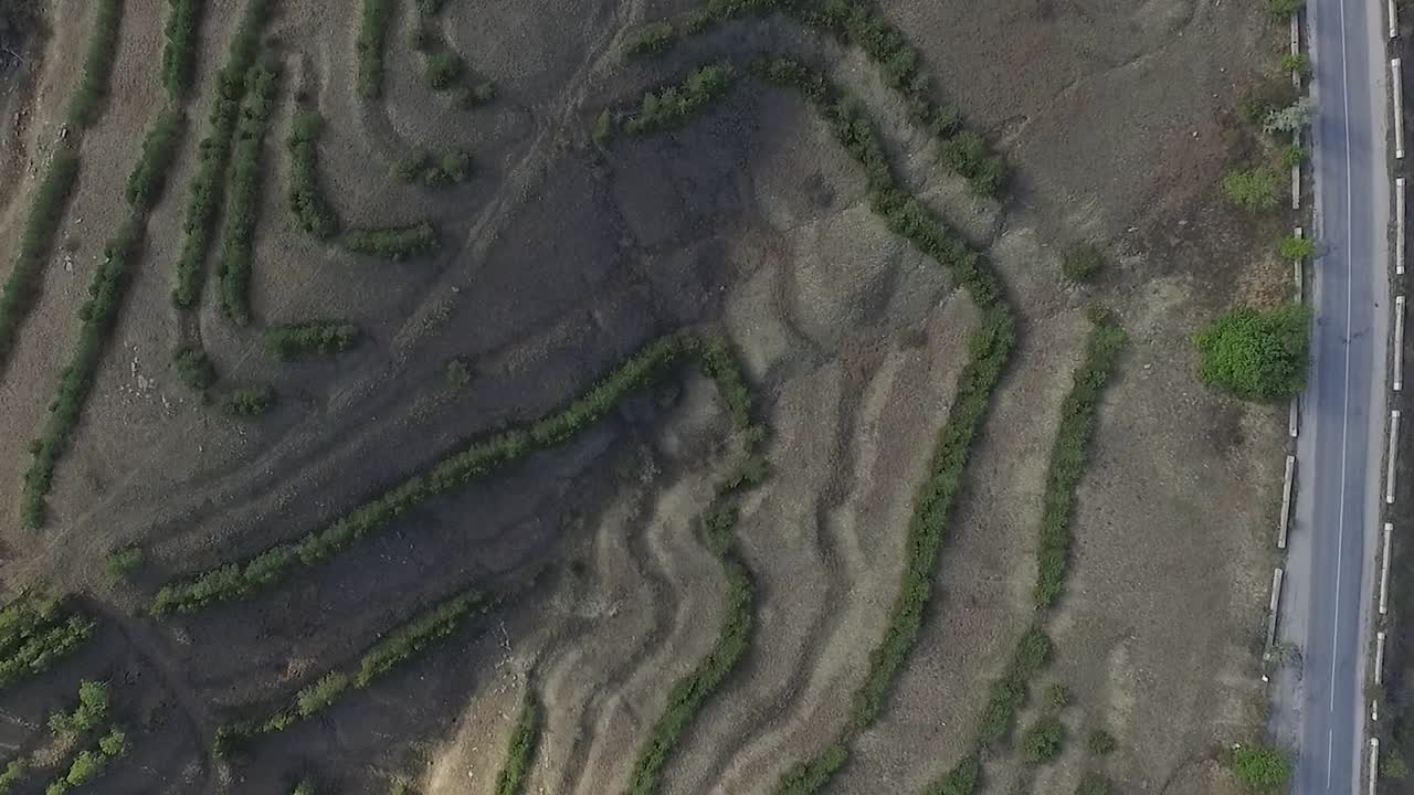 vista aérea de los campos en terrazas