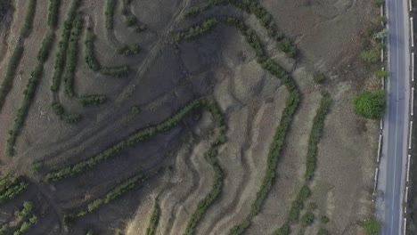 vista aérea de los campos en terrazas