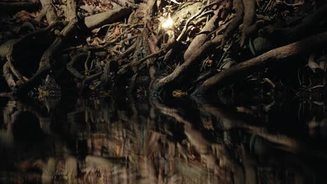 fantasy fairies hovering over jungle vines