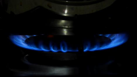 fast burning lpg stove, the blue flame of the gas stove,