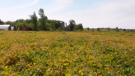 Luftaufnahme-Eines-Ländlichen-Farmlandes-Im-Mittleren-Westen-02