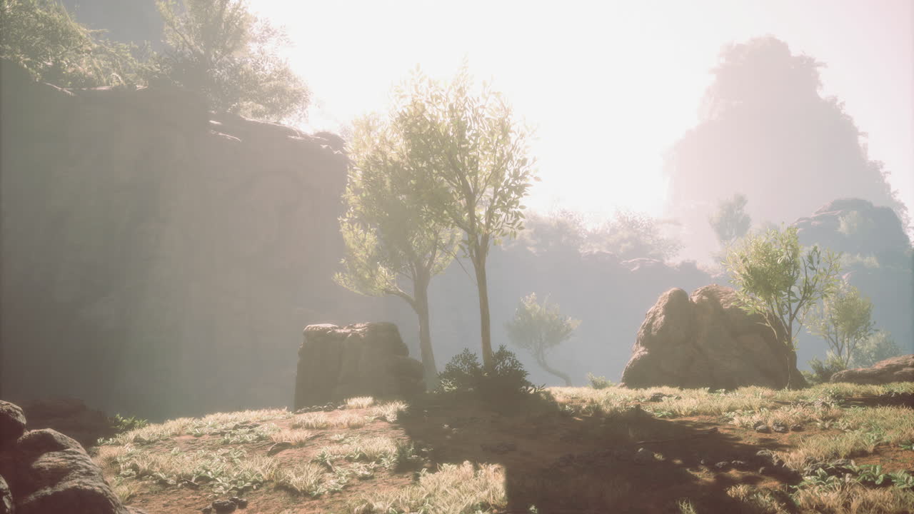 Sunlight brightens a calm morning landscape of trees and rocks