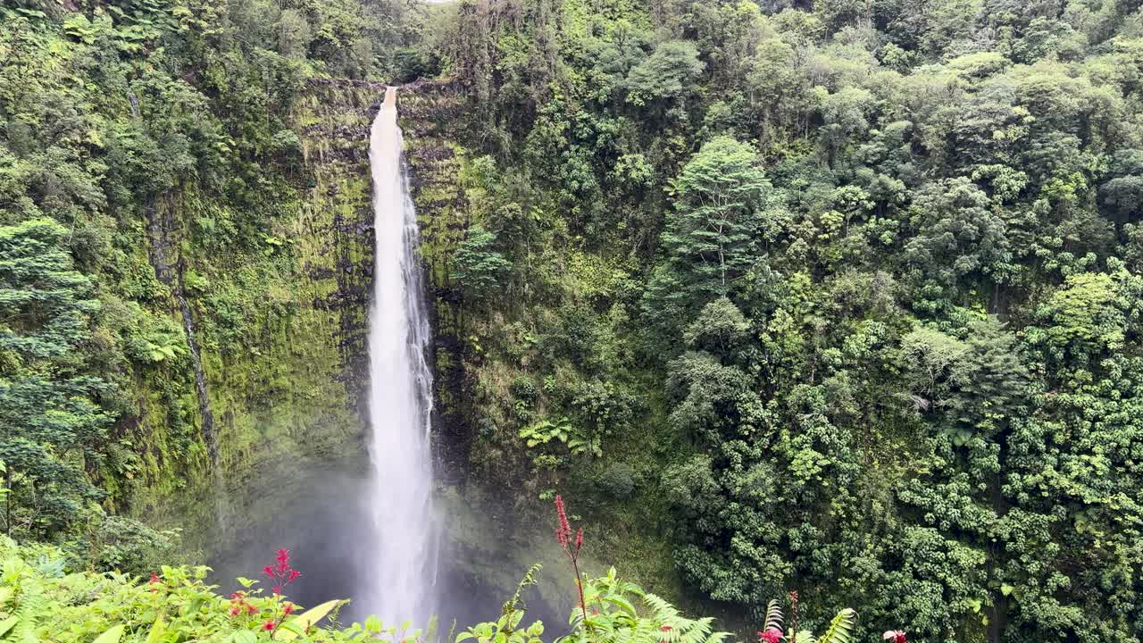 una foto amplia de una cascada en la isla grande de hawai