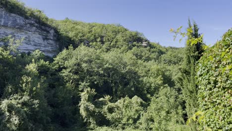 Denso-Bosque-Verde-En-Francia-Cuando-Hace-Buen-Tiempo-Con-Una-Pared-Rocosa-Gris-En-Una-Naturaleza-Densa