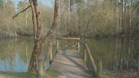 static shot of a small fishing bridge on a lake in france