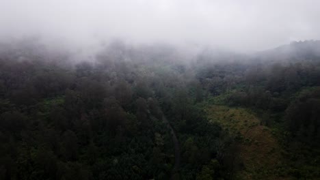 Drohnen-4K-Blick-Auf-Die-Straße-In-Den-Bergen-Inmitten-Des-Nadelwaldes