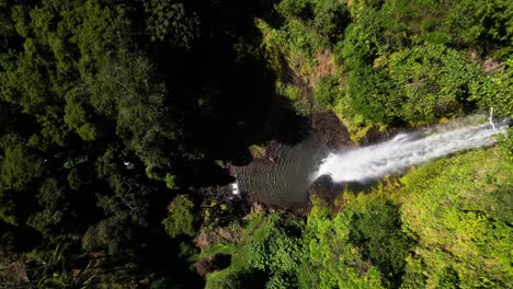 ascenso de drones que revela cómo fluye la cascada en la densa selva tropical paisaje de vegetación verde de costa rica