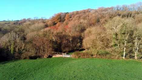 Aerial-view-of-autumn-forest-next-to-a-green-field