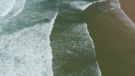 pan disparado fuera de los surfistas y el batido