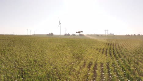drones agrícolas rociando productos químicos en un campo de maíz en iowa en el verano