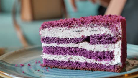 purple cake slice on plate