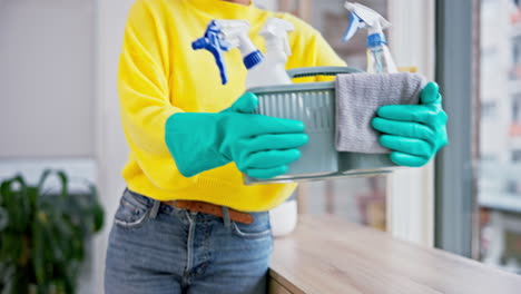 person, hands or cleaning basket in house