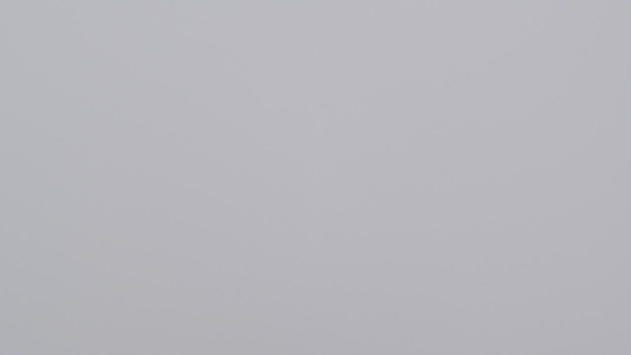 Chestnut-fronted macaw Flying over Amazonian rainforest canopy , camera tracking shot