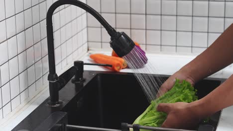 hands washing fresh lettuce and vegetables in a kitchen sink